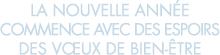 la nouvelle ann e commence avec des espoirs des v ux de bien- tre 