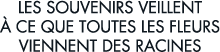 les souvenirs veillent   ce que toutes les fleurs viennent des racines