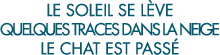 le soleil se l ve quelques traces dans la neige le chat est pass  
