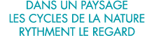 dans un paysage les cycles de la nature rythment le regard 