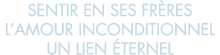 sentir en ses fr res l amour inconditionnel un lien  ternel 