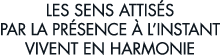 les sens attis s par la pr sence   l instant vivent en harmonie