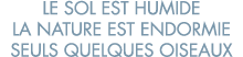 le sol est humide la nature est endormie seuls quelques oiseaux 