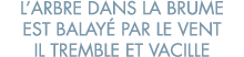 l arbre dans la brume est balay  par le vent il tremble et vacille 