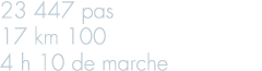 23 447 pas 17 km 100 4 h 10 de marche