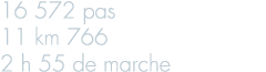 16 572 pas 11 km 766 2 h 55 de marche