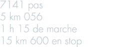 7141 pas 5 km 056 1 h 15 de marche 15 km 600 en stop