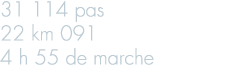31 114 pas 22 km 091 4 h 55 de marche