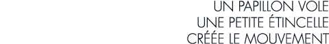 un papillon vole une petite  tincelle cr  e le mouvement