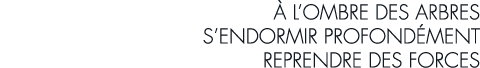   l ombre des arbres s endormir profond ment reprendre des forces