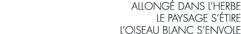 allong  dans l herbe le paysage s  tire l oiseau blanc s envole